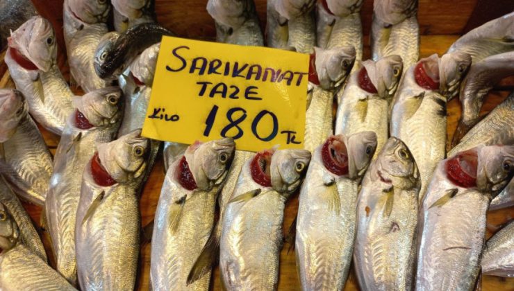 Sıcak hava balık fiyatlarını iki kat artırdı